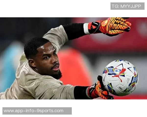 意甲最佳阵容揭晓迈尼昂与帕斯领衔韦斯利波贝加强势入选